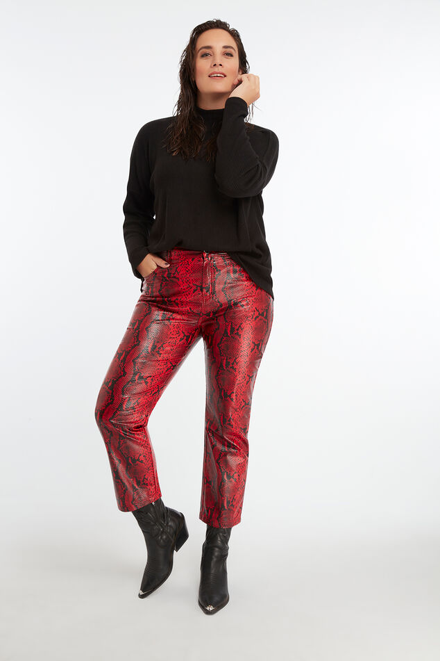 Pull-over à col roulé image number 4