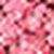 Multi Malabar-Rouge Multi Malabar-Rouge
