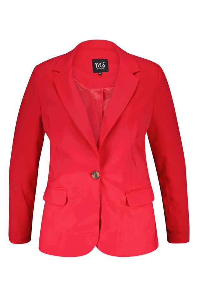 Blazer  image number 1