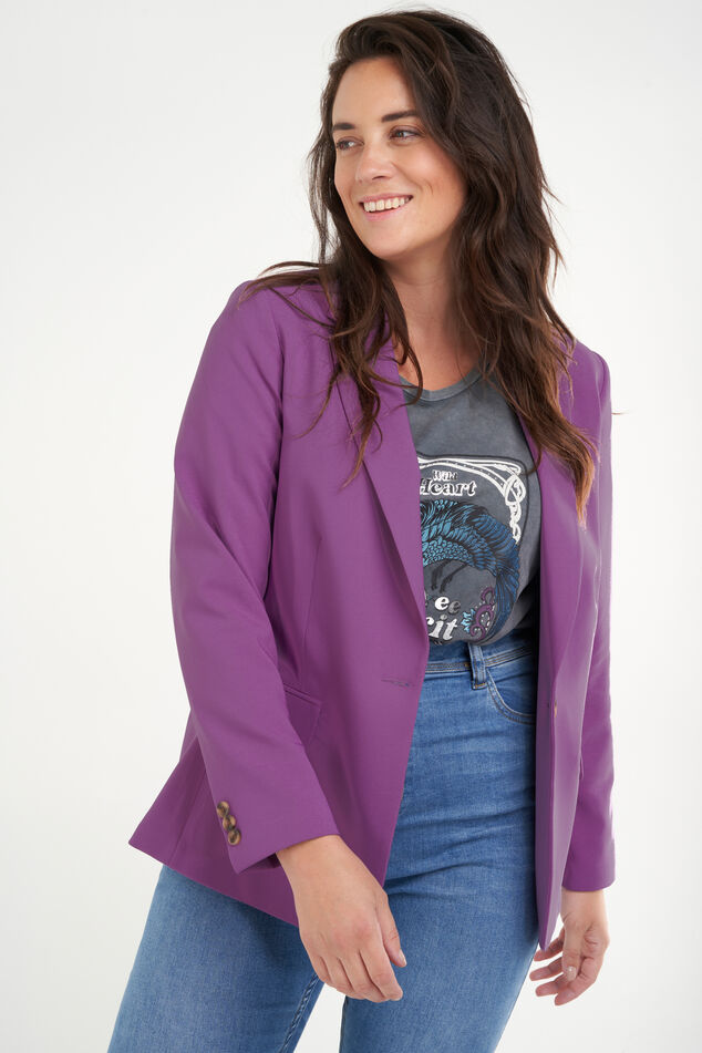 Blazer  image number 4