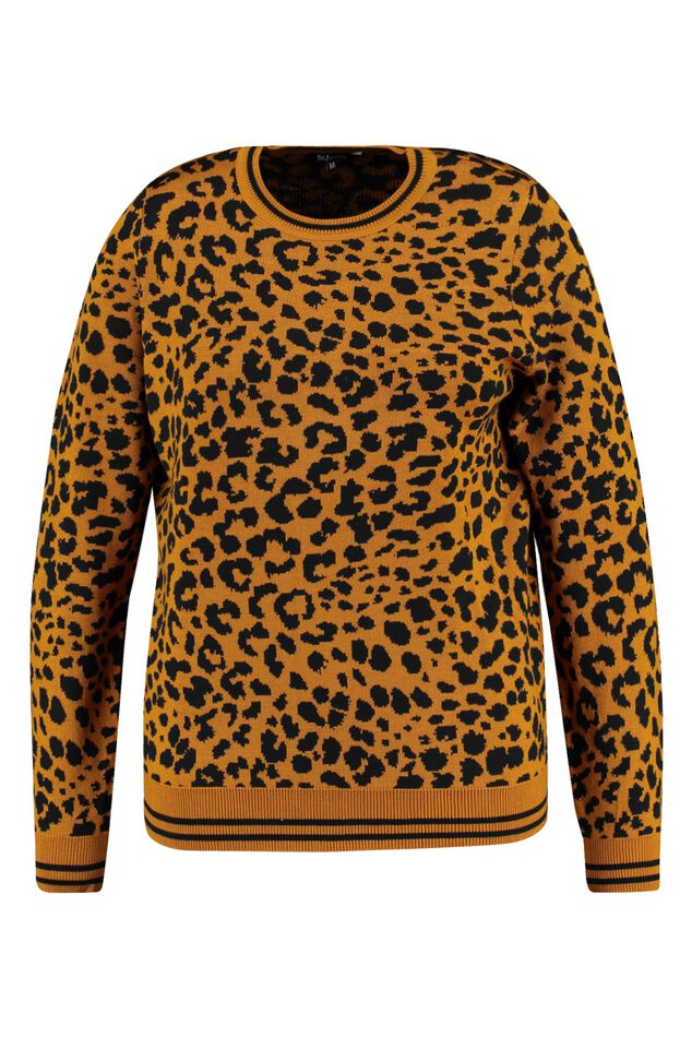 Pull à imprimé  image number 2