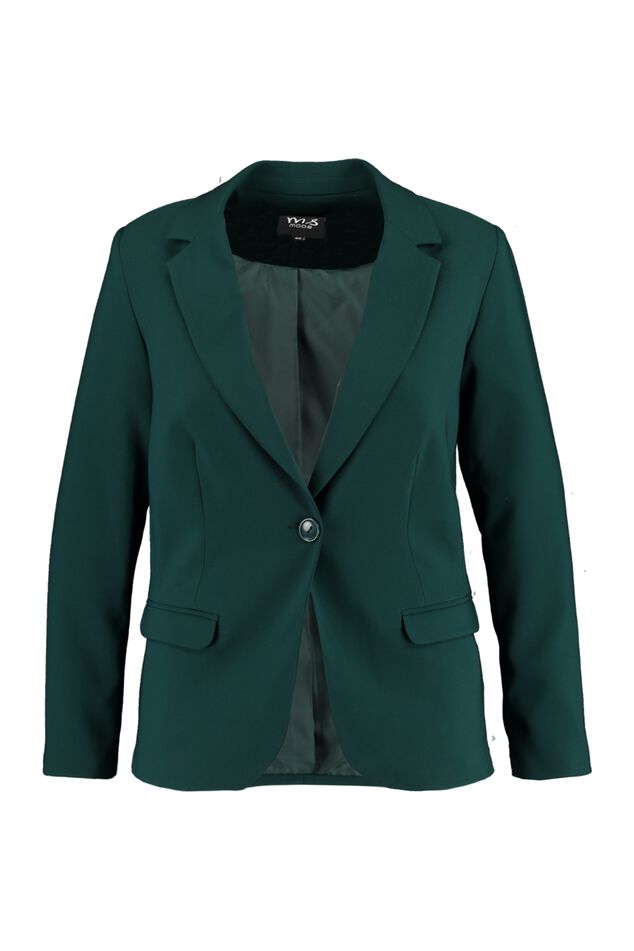 Blazer     image number 1