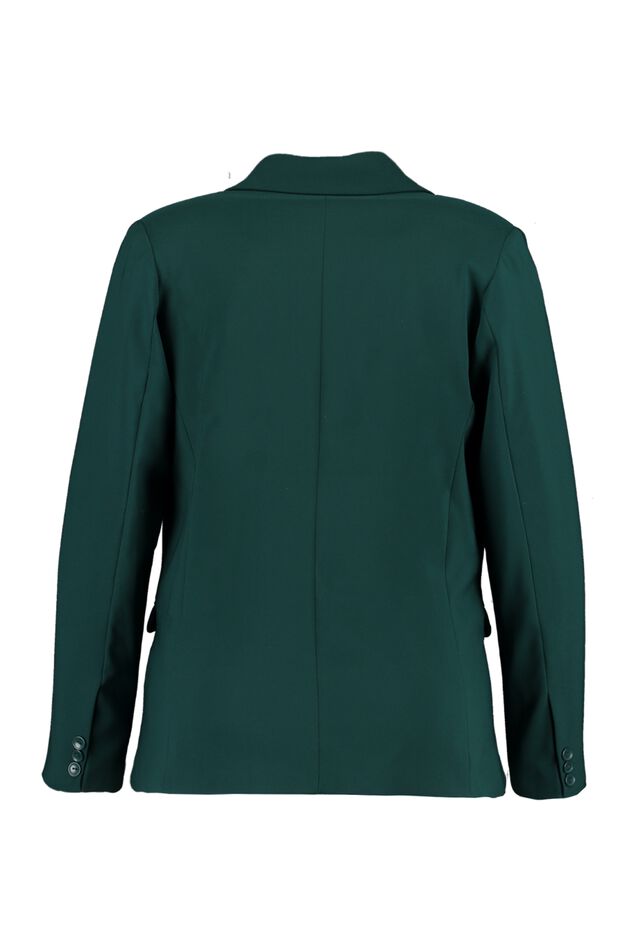 Blazer     image number 2