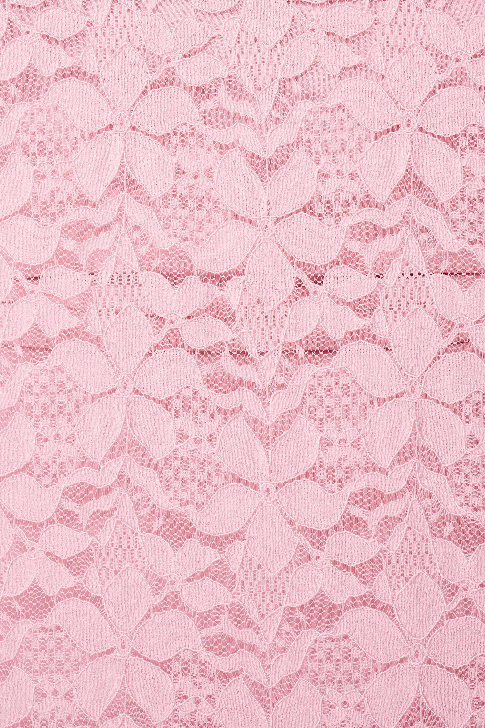 Top en dentelle &agrave; manches courtes image number 6