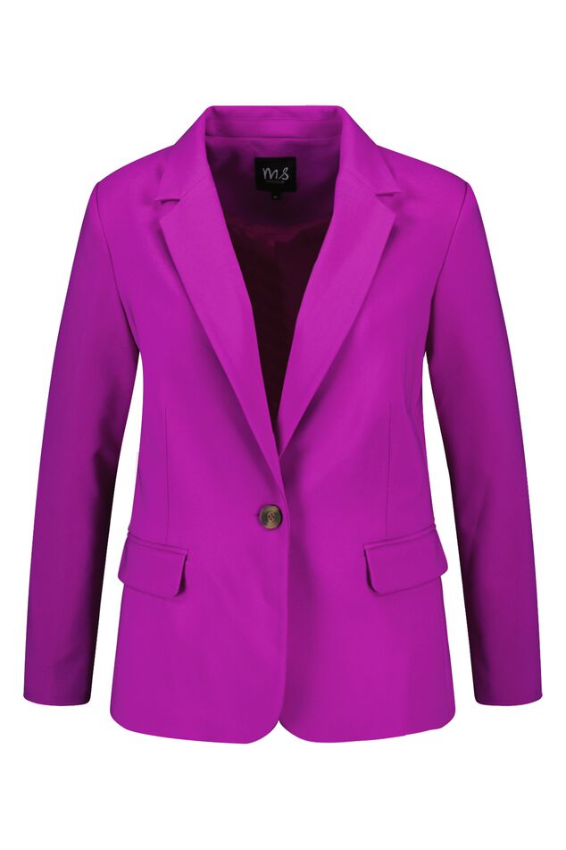 Blazer  image number 1