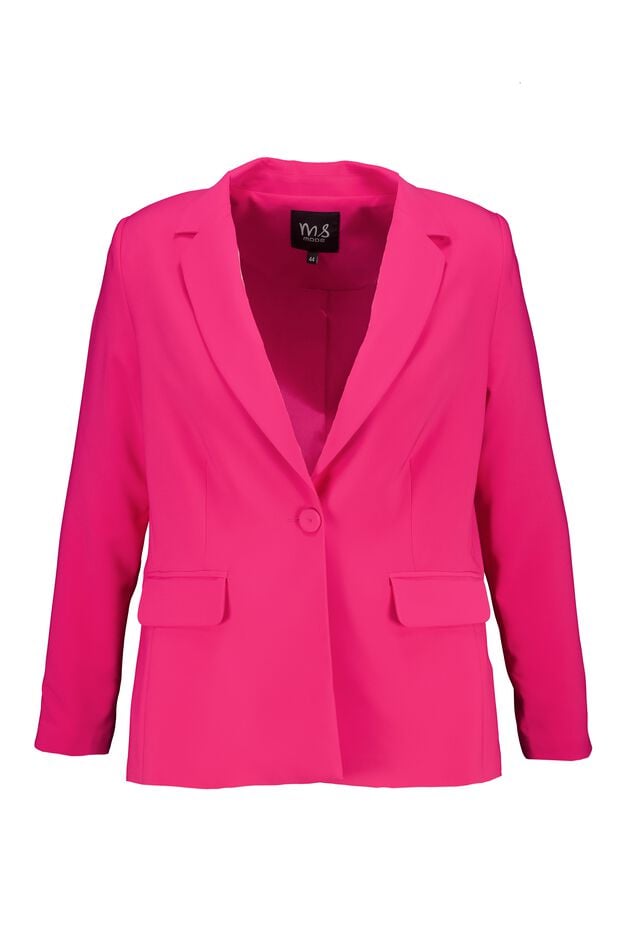 Blazer extensible image number 1