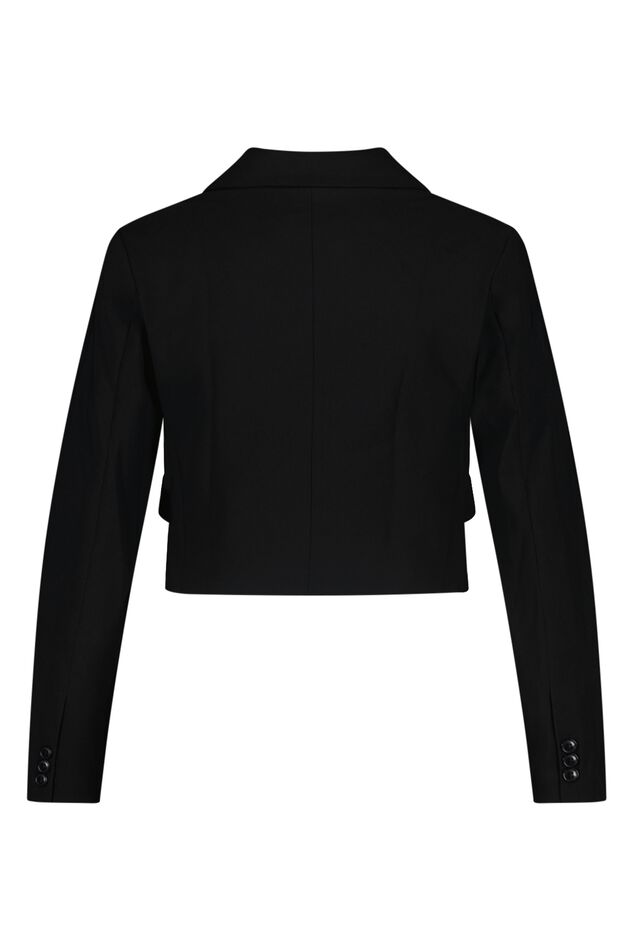 Blazer cropped image number 2