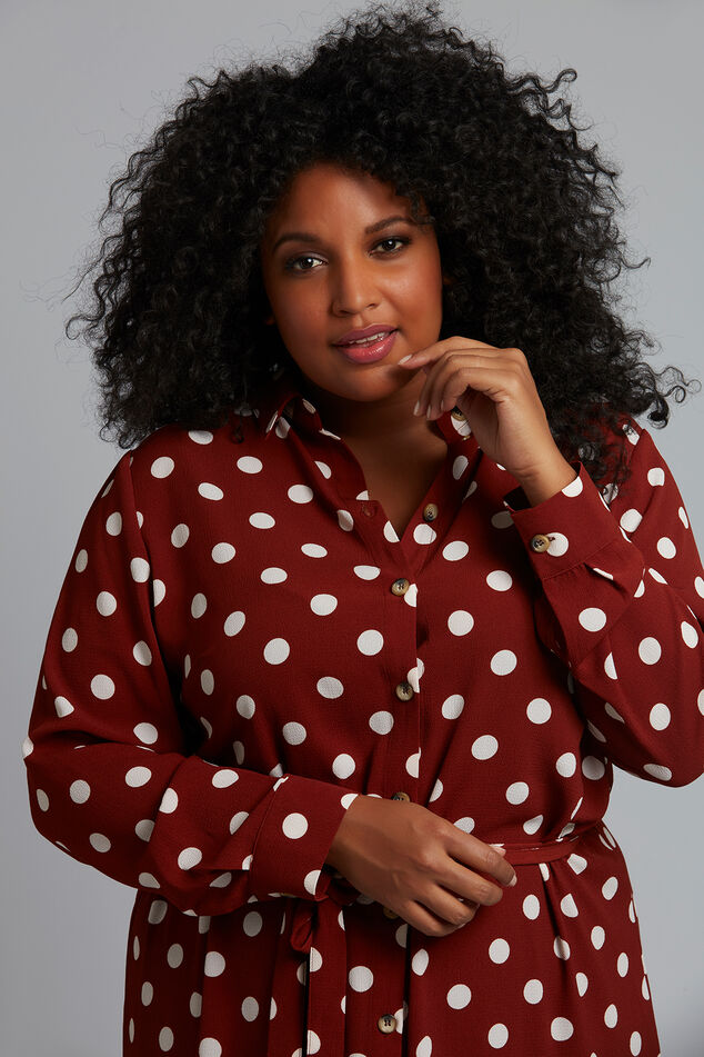 Robe chemise à pois image number 4