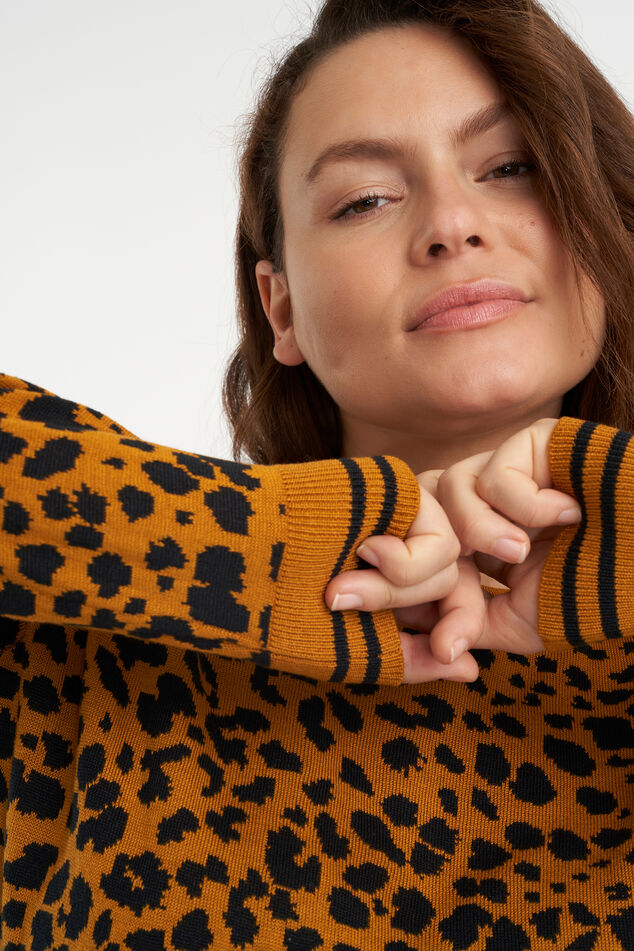 Pull à imprimé  image number 5