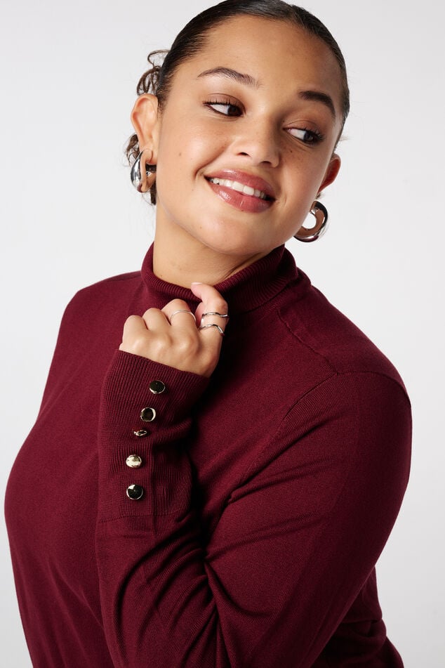 Pull à col roulé et boutons décoratifs image number 4