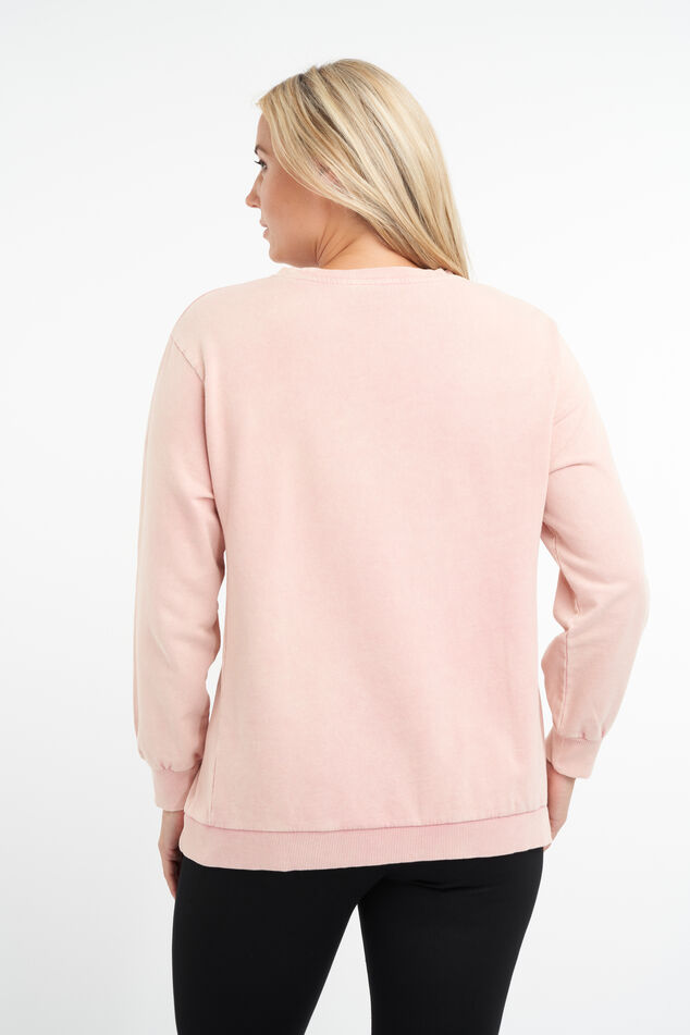 Pull image number 4