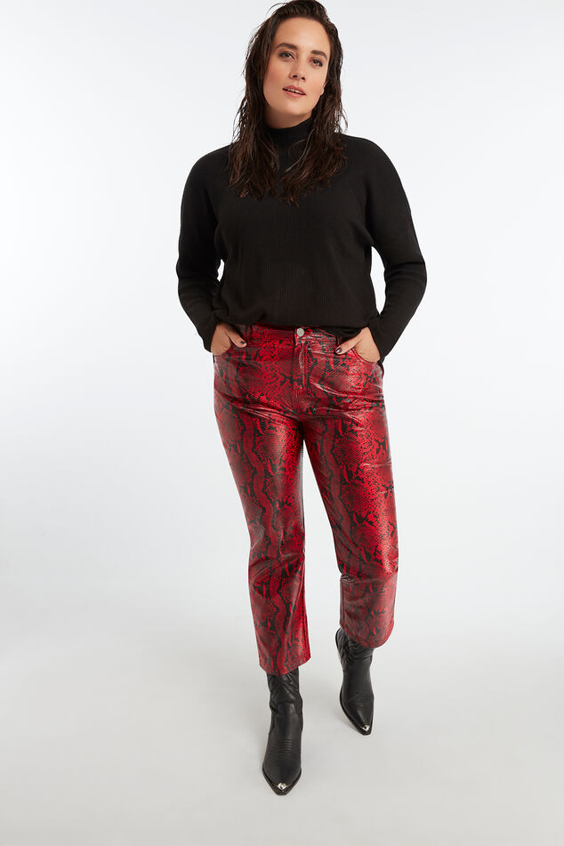 Pull-over à col roulé image number 5