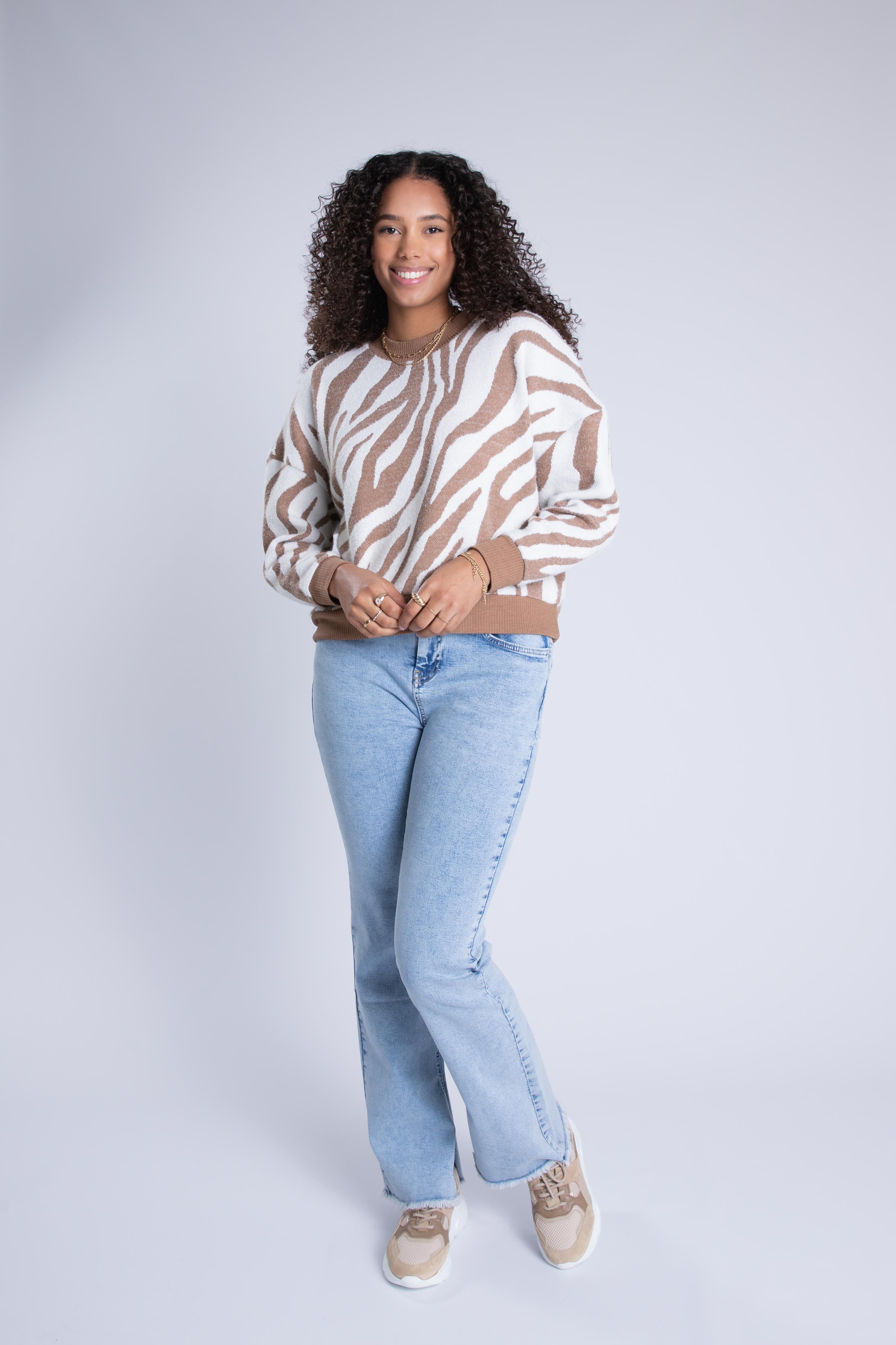 Pull &agrave; imprim&eacute; z&eacute;br&eacute; image number 6