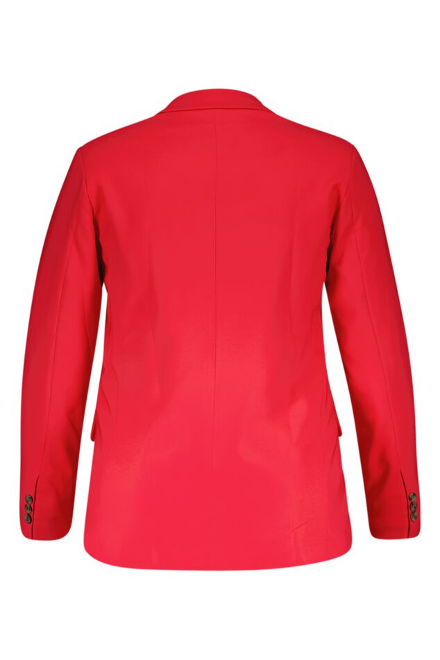 Blazer  image number 2