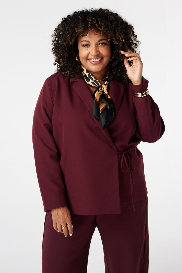 Blazer à revers avec ceinture à nouer image number 0