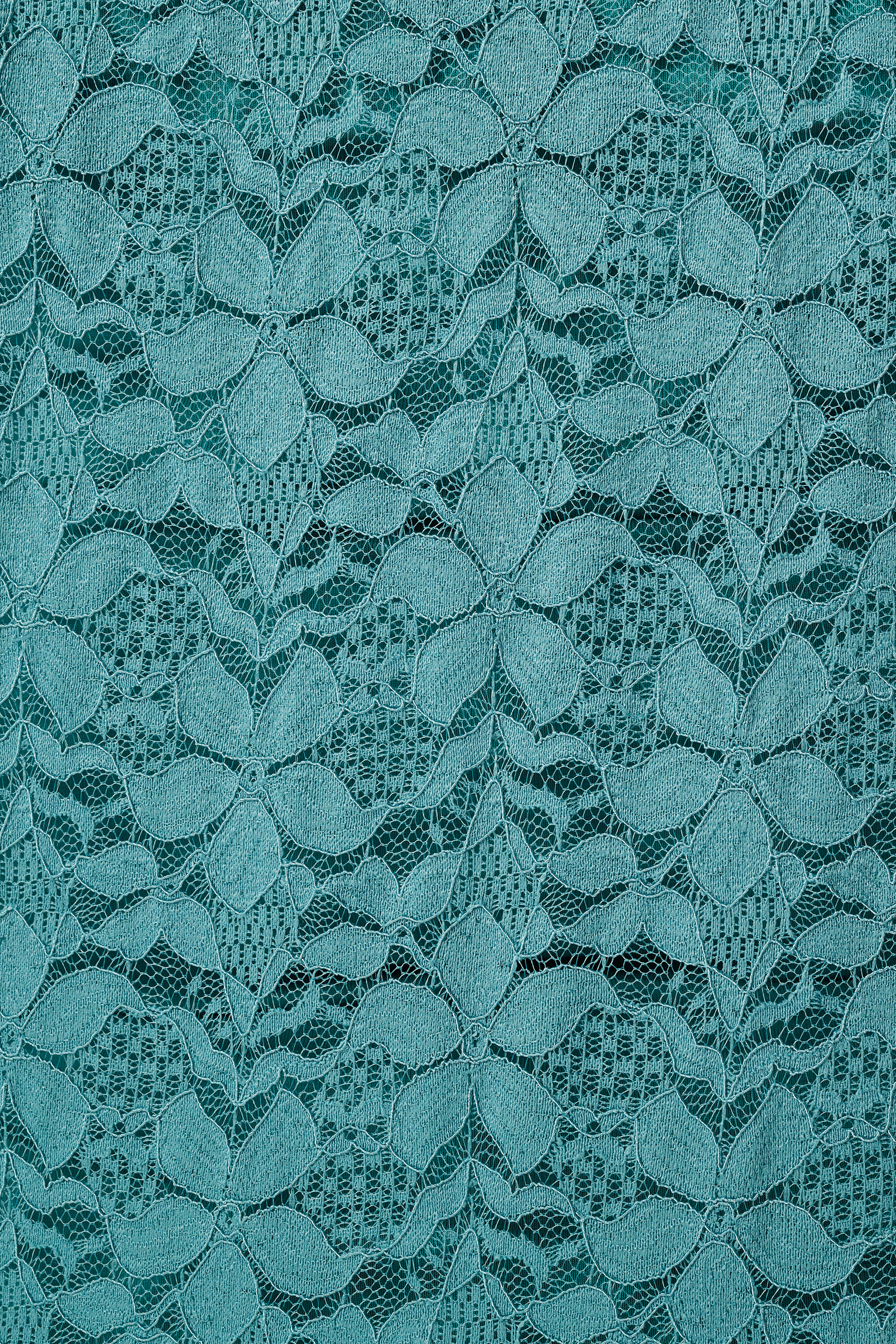 Top en dentelle &agrave; manches courtes image number 6