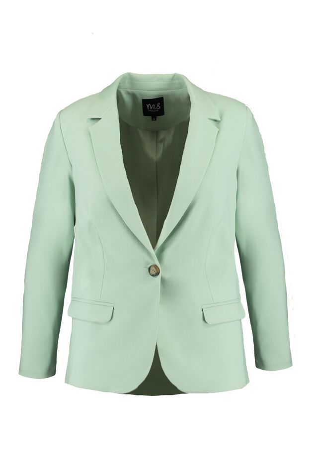 Blazer     image number 2