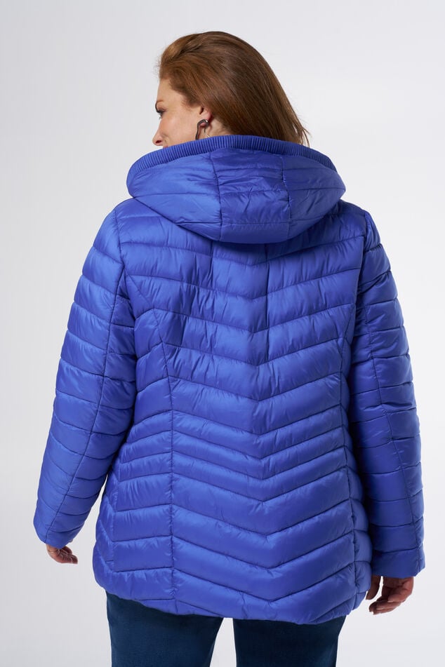 Veste matelassée à capuche  image number 3