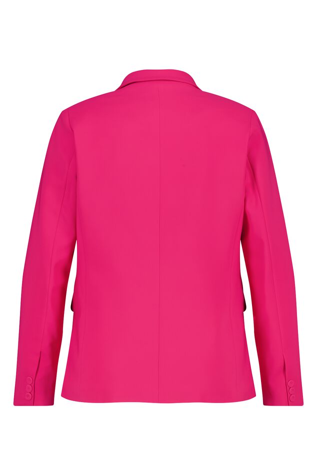 Blazer extensible image number 2