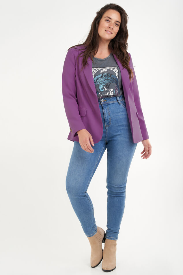 Blazer  image number 5