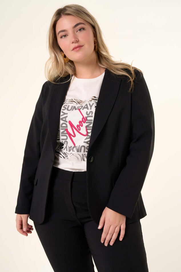 Blazer  image number 0