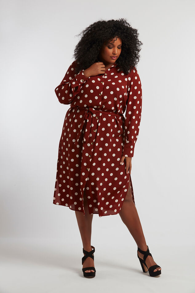 Robe chemise à pois image number 6