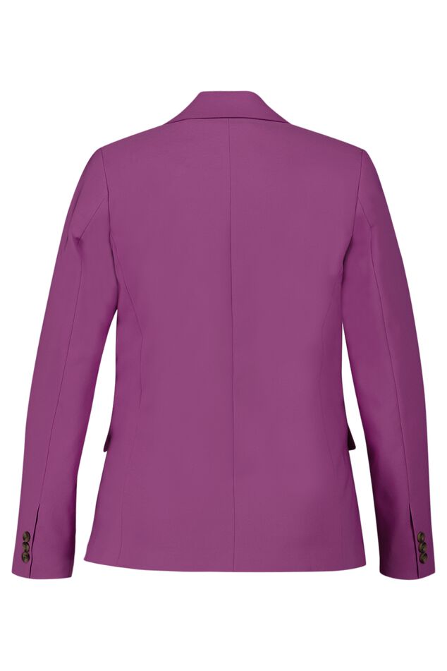 Blazer  image number 3