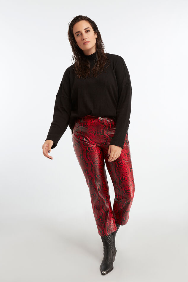 Pull-over à col roulé image number 0