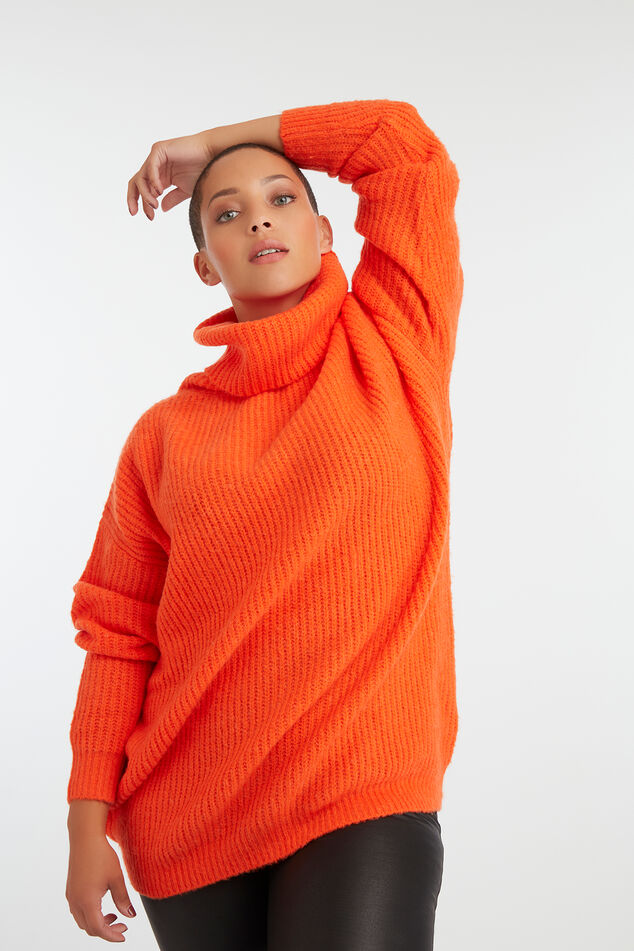 Pull-over en maille à col roulé image number 0