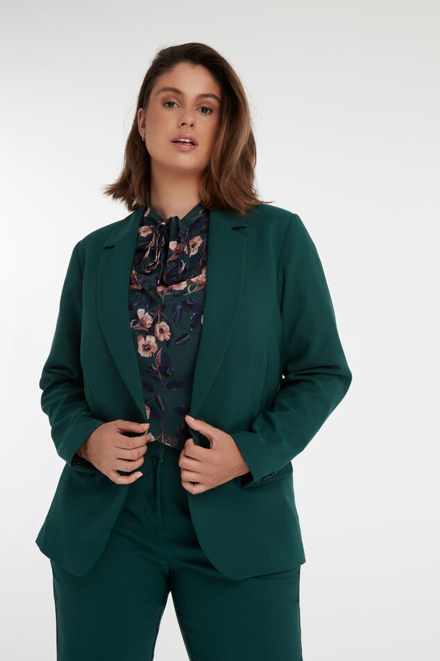 Blazer     image number 0