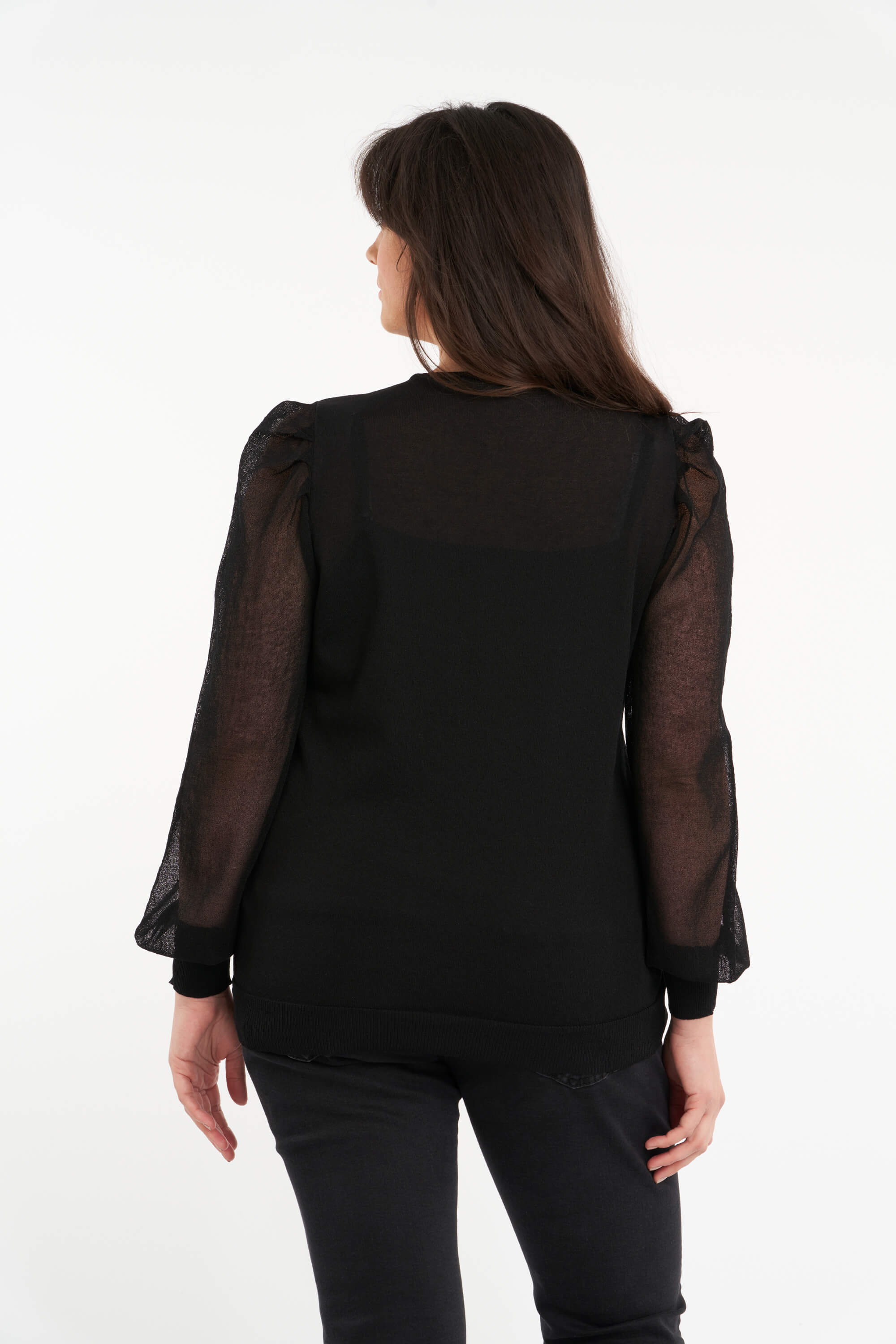 Pull aux manches transparentes  image number null